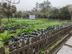 -洪湖家庭农场·团建·露营·会议