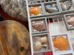 -蓝湾碧波·老字号·疍家非遗海上餐厅