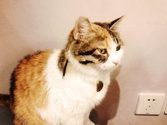 -后海16号·北京私房菜