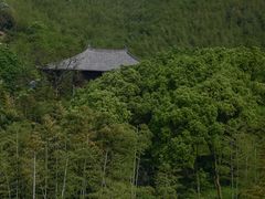 -大唐贡茶院