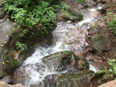 -天女山森林公园