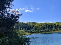 -武陵山森林公园