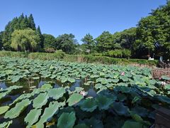 -上海市保健医疗中心