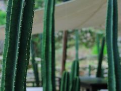 -MOJ coffee(瓯海泽雅水碓坑店)