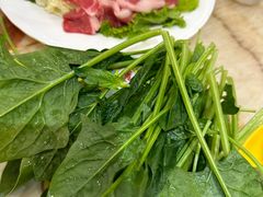 -清真·马家火锅美食城(镇江北路店)