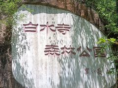 -白水寺森林公园