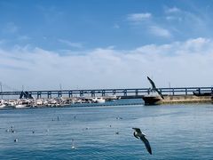 -星海蹦极娱乐