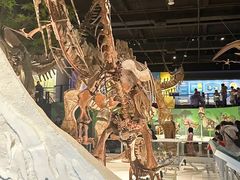 -国家自然博物馆