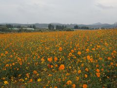-龙门崮风景区