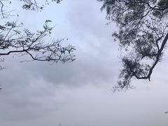 -广州市白云山风景名胜区