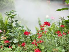 -大妙火锅·非物质文化遗产(东湖公园店)