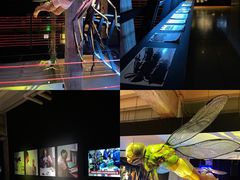 -现代汽车文化中心 Hyundai Motorstudio Beijing
