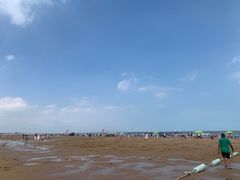 -日照海滨国家森林公园