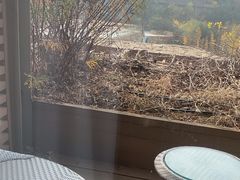 -北京中信金陵酒店