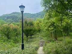 -杭州半山国家森林公园