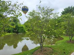 -中国科学院西双版纳热带植物园