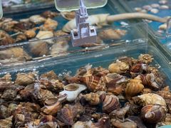 -盒马鲜生(曜一城店)