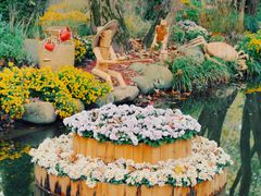 -上海共青森林公园