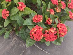 -广州国际生物岛