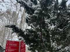 -中国石油大学（北京）(北京西校区)