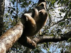 -西双版纳原始森林公园