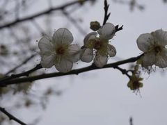 -金山公园