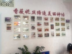 -香薇妮丝·定制减肥·身材管理