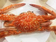 -御唐府海珊瑚主题餐厅