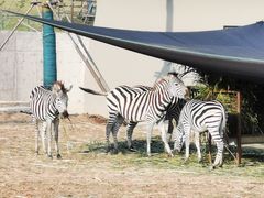 -南京金牛湖风景区