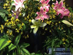 -春暖花开(西溪店)