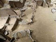 -洛阳周王城天子驾六博物馆