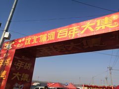 -蒲河大集
