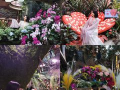 -正佳雨林生态植物园