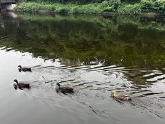 -前关湿地公园