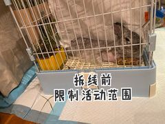 -北京观赏动物医院·24小时大型综合·猫专科·异宠专科