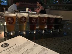 -Boxing Cat Brewery拳击猫精酿啤酒馆(永福店)