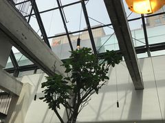 -大树餐厅(红旗街万达店)