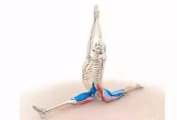 -U+YOGA优伽瑜伽·普拉提