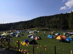 -武陵山森林公园