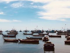 -海源公园
