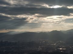 -长虫山生态公园风景林
