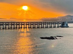 -星海湾跨海大桥