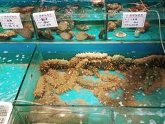 -中苑海韵