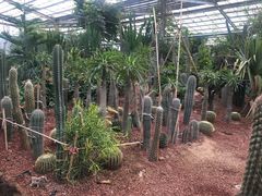 -呀路古热带植物园