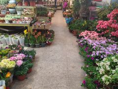 -双季花艺园艺市场(浦东店)