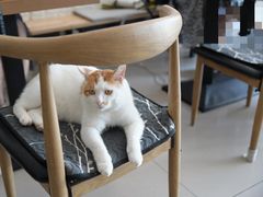 -平行世界·猫咖(首经贸店)