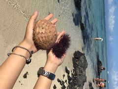 iphone_upload_pic-蓝湾海滩