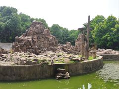 -合肥野生动物园