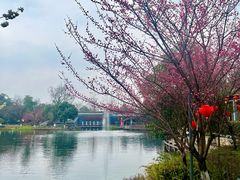 -成飞公园