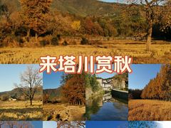-塔川景区
